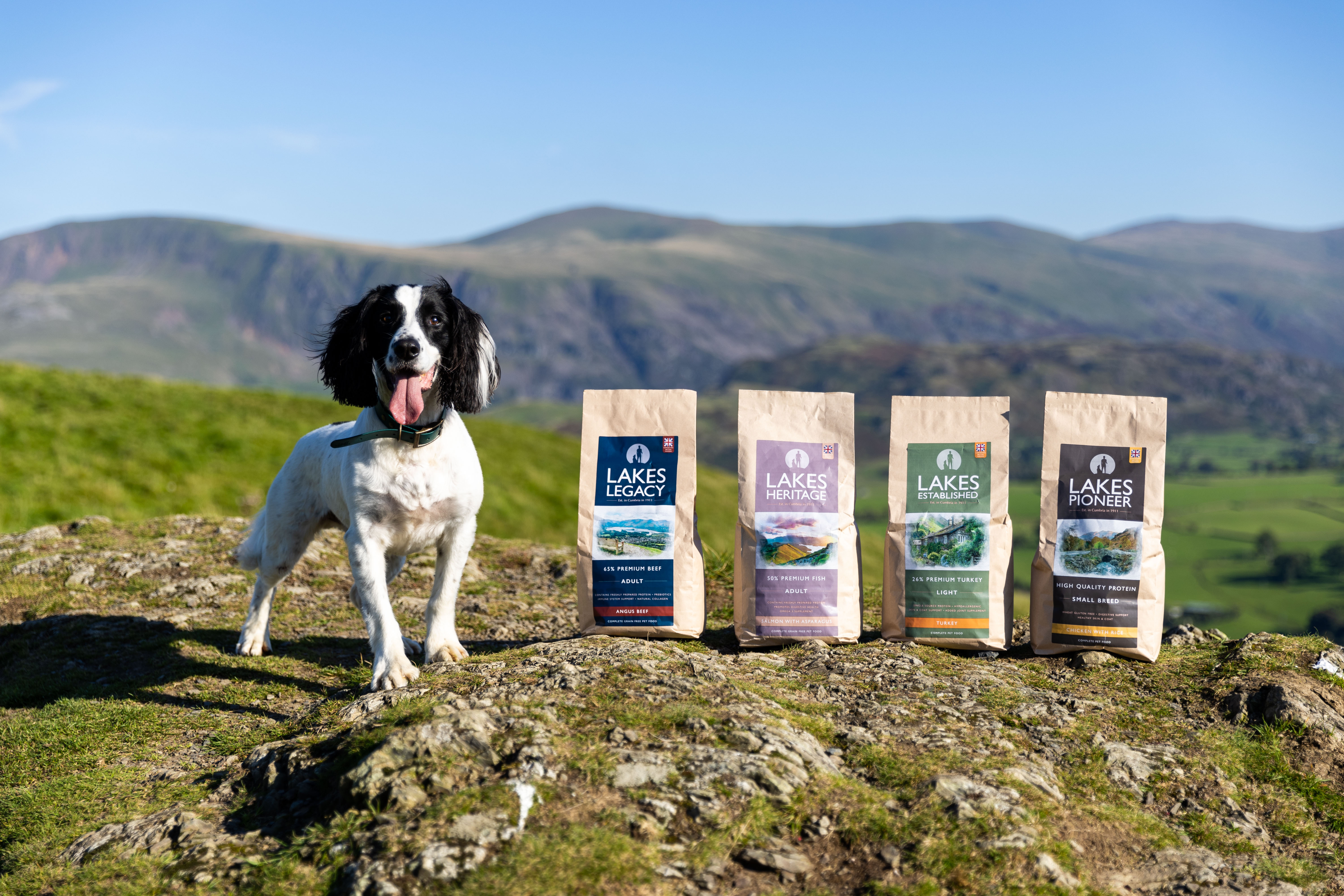 premium dry dog food range